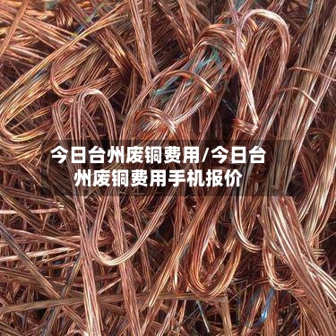 今日台州废铜费用/今日台州废铜费用手机报价-第2张图片