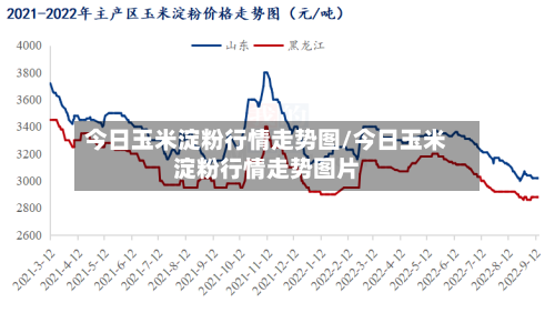 今日玉米淀粉行情走势图/今日玉米淀粉行情走势图片