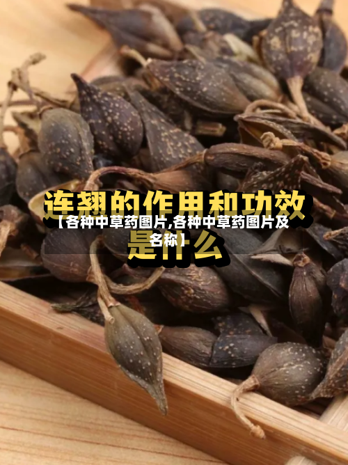 【各种中草药图片,各种中草药图片及名称】-第3张图片