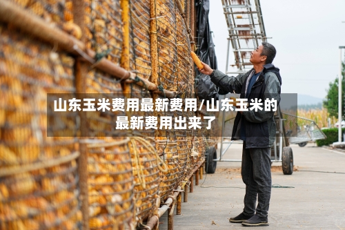 山东玉米费用最新费用/山东玉米的最新费用出来了