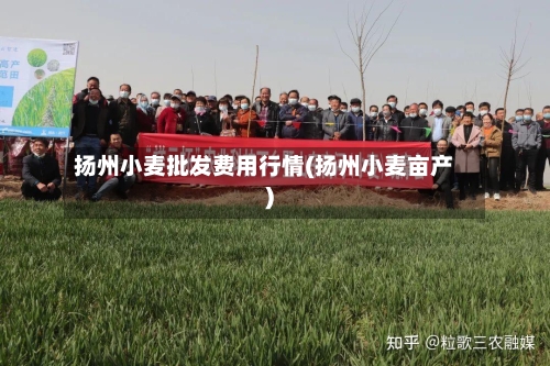 扬州小麦批发费用行情(扬州小麦亩产)