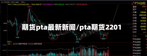 期货pta最新新闻/pta期货2201-第2张图片